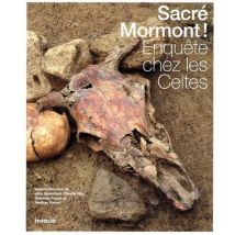 Sacré Mormont ! : Enquête Chez Les Celtes