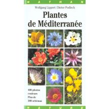 Plantes De Méditerranée