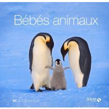 Bebes Animaux - La Collection