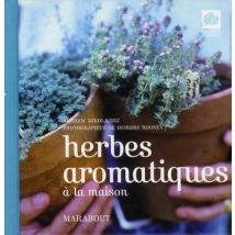 Herbes Aromatiques À La Maison