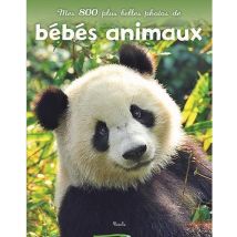 Les Bébés Animaux - Photos