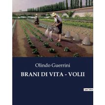 Brani Di Vita - Volii : Un Mosaico Di Emozioni Nell'italia Del Xix Secolo