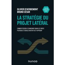 La Stratégie Du Projet Latéral