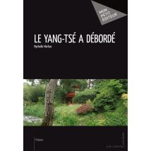 Le Yang-tsé A Débordé