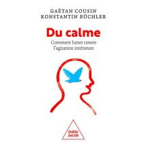 Du Calme ! Comment Lutter Contre L'Agitation Intérieure