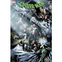 Spider-man N.2