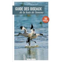 Guide Des Oiseaux De La Baie De Somme