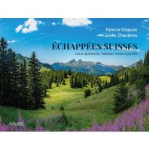 Échappées Suisses : Lieux Apaisants, Balades Ressourçantes