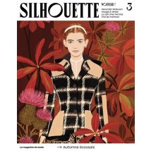 Silhouette N.3 : Un Automne Écossais