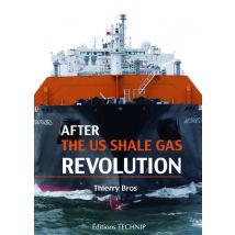 After The Us Shale Gas Revolution