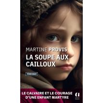 La Soupe Aux Cailloux