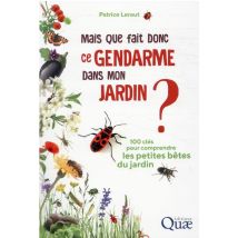 Mais Que Fait Donc Ce Gendarme Dans Mon Jardin ?