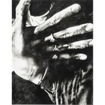 James Drake : Tongue-cut Sparrows