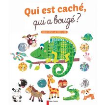Qui Est Cache Qui A Bouge