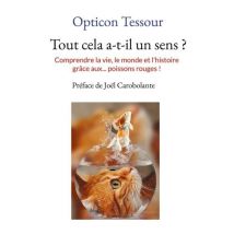 Tout Cela A-t-il Un Sens ? : Comprendre La Vie, Le Monde Et L'Histoire Grâce Aux... Poissons Rouges !