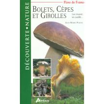 Bolets Cepes Et Girolles - Comment Les Trouver Comment Les Cueillir
