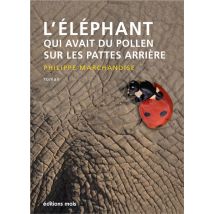 L'Éléphant Qui Avait Du Pollen Sur Les Pattes Arrière