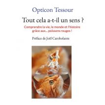 Tout Cela A-t-il Un Sens ? : Comprendre La Vie, Le Monde Et L'Histoire Grã¢ce Aux... Poissons Rouges !