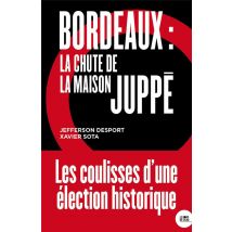 Bordeaux : La Chute De La Maison Juppé