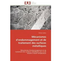 Mecanismes D'Endommagement Et De Traitement Des Surfaces Metalliques - Mecanismes D'Endommagement Et