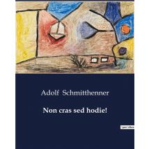Non Cras Sed Hodie!