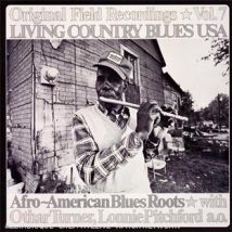 Living Country Blues Usa Vol.7 - Afro-american Blues