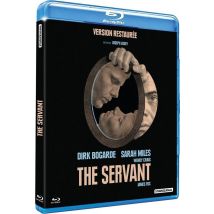 The Servant