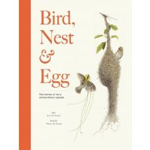 Bird, Nest & Egg