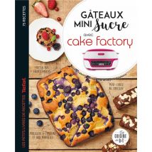 Gâteaux Mini Sucre Avec Cake Factory
