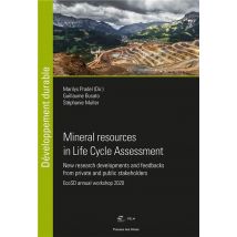Mineral Resources In Life Cycle Assessment : New Research Developments And Feedbacks From Private And Public Stakeholders - Ecosd Annual Workshop