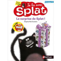 Je Lis Avec Splat : La Surprise De Splat ! Niveau 3