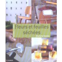 Feuilles Et Fleurs Sechees