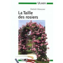 Taille Des Rosiers (la)