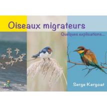Oiseaux Migrateurs : Quelques Explications...