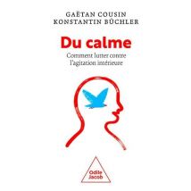Du Calme ! Comment Lutter Contre L'Agitation Intérieure