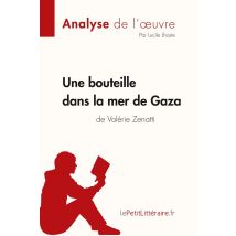 Une Bouteille Dans La Mer De Gaza De Valérie Zenatti