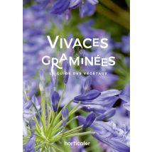 Vivaces & Graminées : Le Guide Des Végétaux