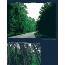 Emma Lutz, Imprimer La Terre : Empreintes Et Paysages Du Savoir-faire Verrier Lorrain