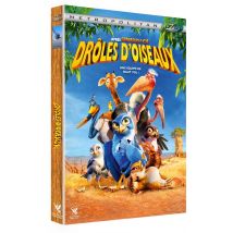 Drôles D'Oiseaux