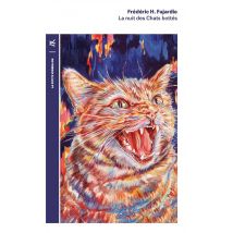 La Nuit Des Chats Bottés