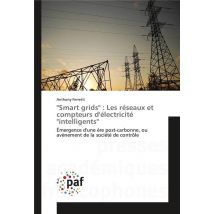 smart Grids : Les Reseaux Et Compteurs Delectricite intelligents