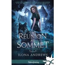Dina Demille Tome 2 : Une Réunion Au Sommet
