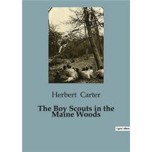 The Boy Scouts In The Maine Woods