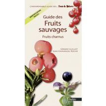 Guide Des Fruits Sauvages Comestibles Et Toxiques - Fruits Charnus