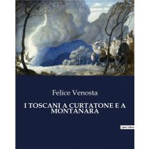 I Toscani A Curtatone E A Montanara