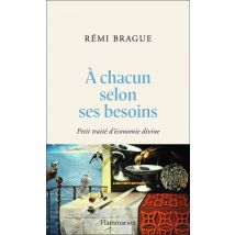 À Chacun Selon Ses Besoins : Petit Traité D'Économie Divine