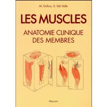 Les Muscles - Anatomie Clinique Des Membres