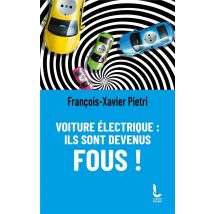 Voiture Électrique : Ils Sont Devenus Fous !