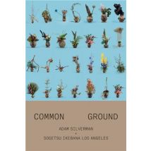 Adam Silverman : Common Ground