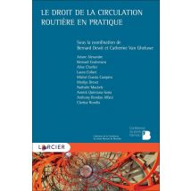 Le Droit De La Circulation Routière En Pratique